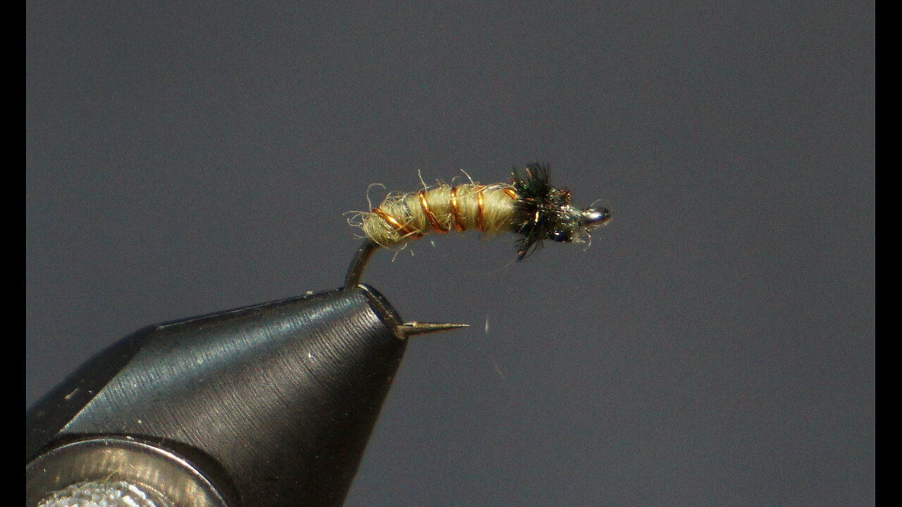 Simple Caddis Larva