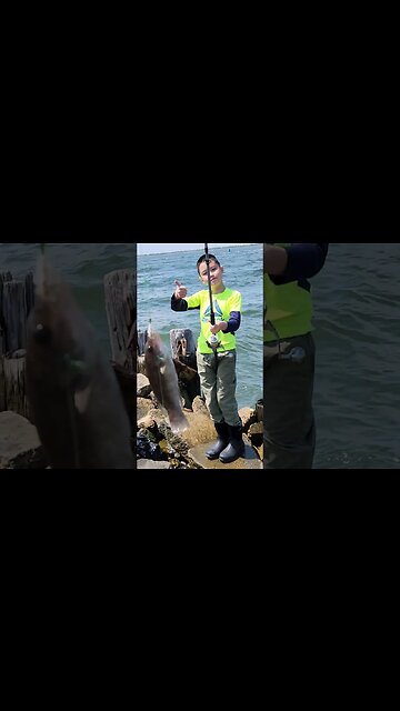 Wanna eat this BIG Bergal fish!!??😍