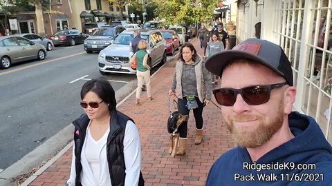 Dog Training in the real world. Pack Walk.