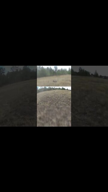 Sledge & Kraton making out LOL