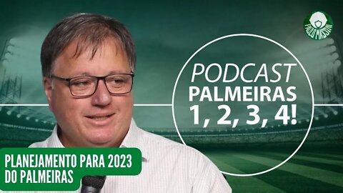 TAÇA NA MÃO E AGORA PALMEIRAS?