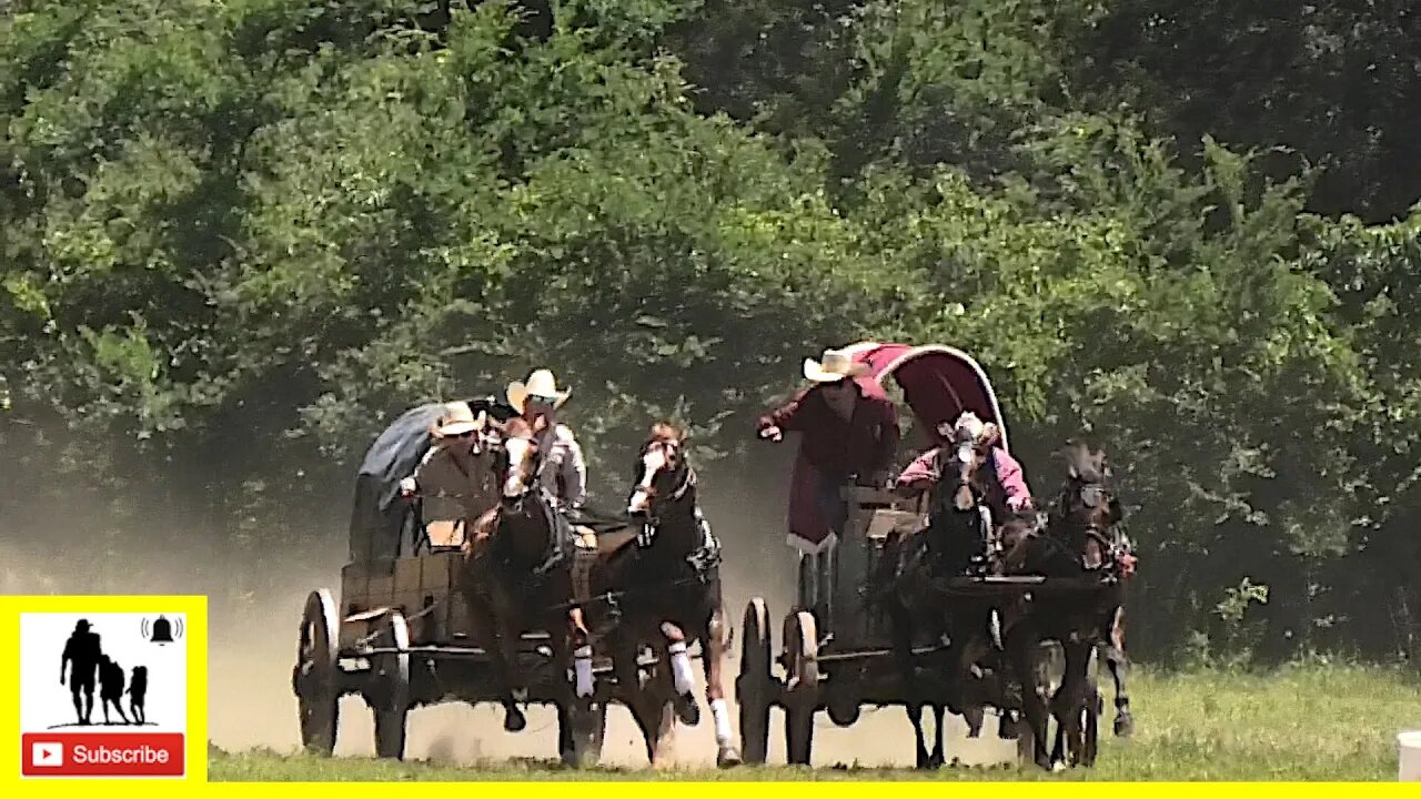 Classic Wagon Races - What About Bob Chuckwagon Races 2022 | Sunday