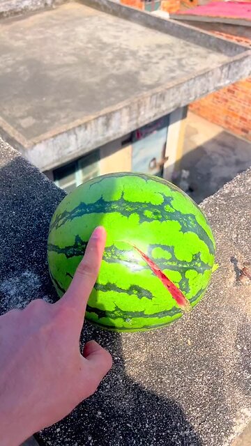 watermelon fall | watermelon burst | my most favorite fruit ever