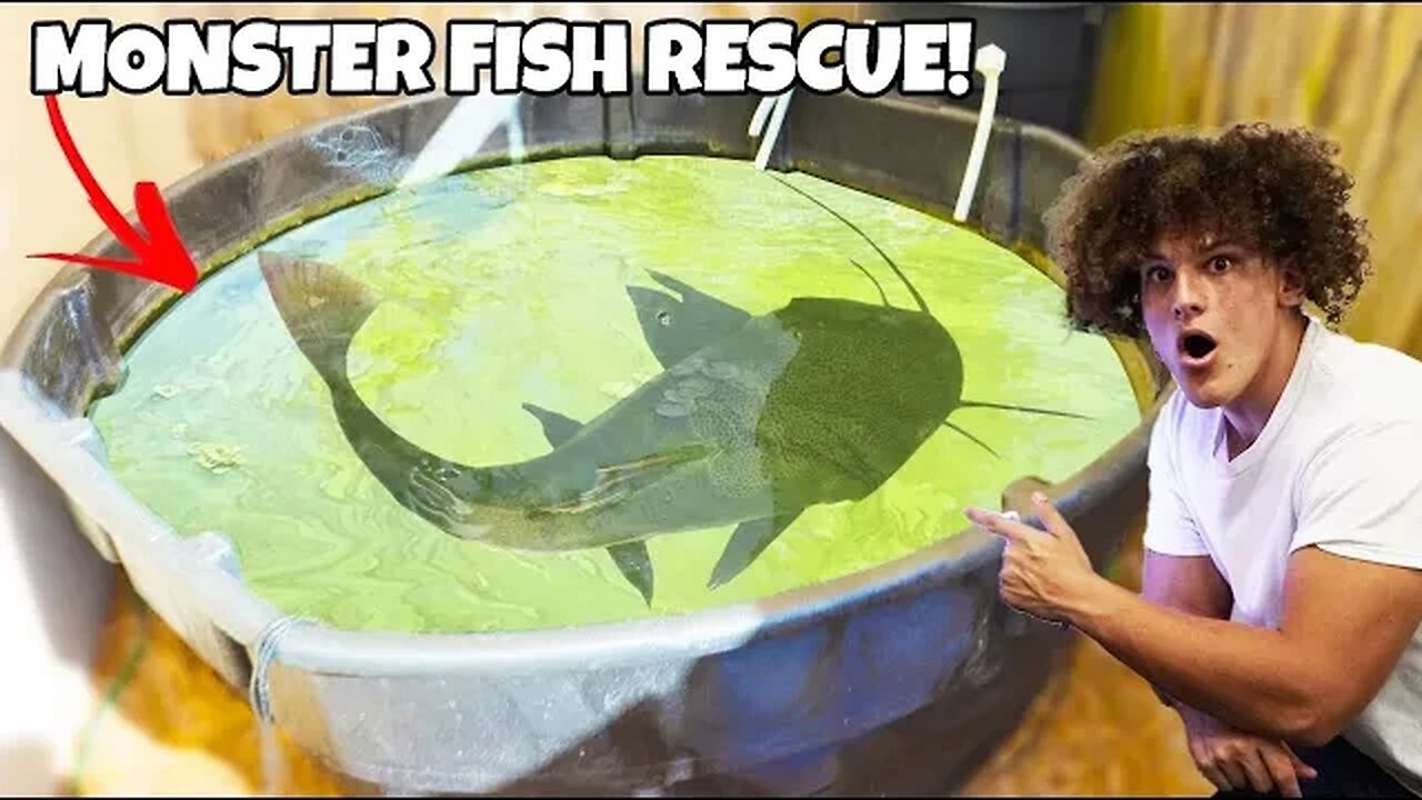 Saving MONSTER Aquarium FISH From ABANDONED Pond!