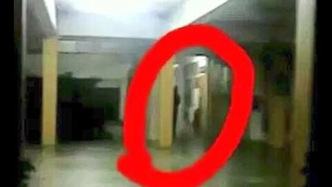 Pengkalan Chepa Creature