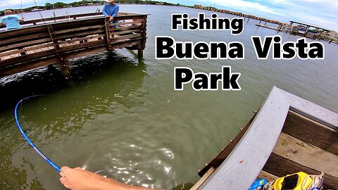 Saltwater fishing Buena Vista Park