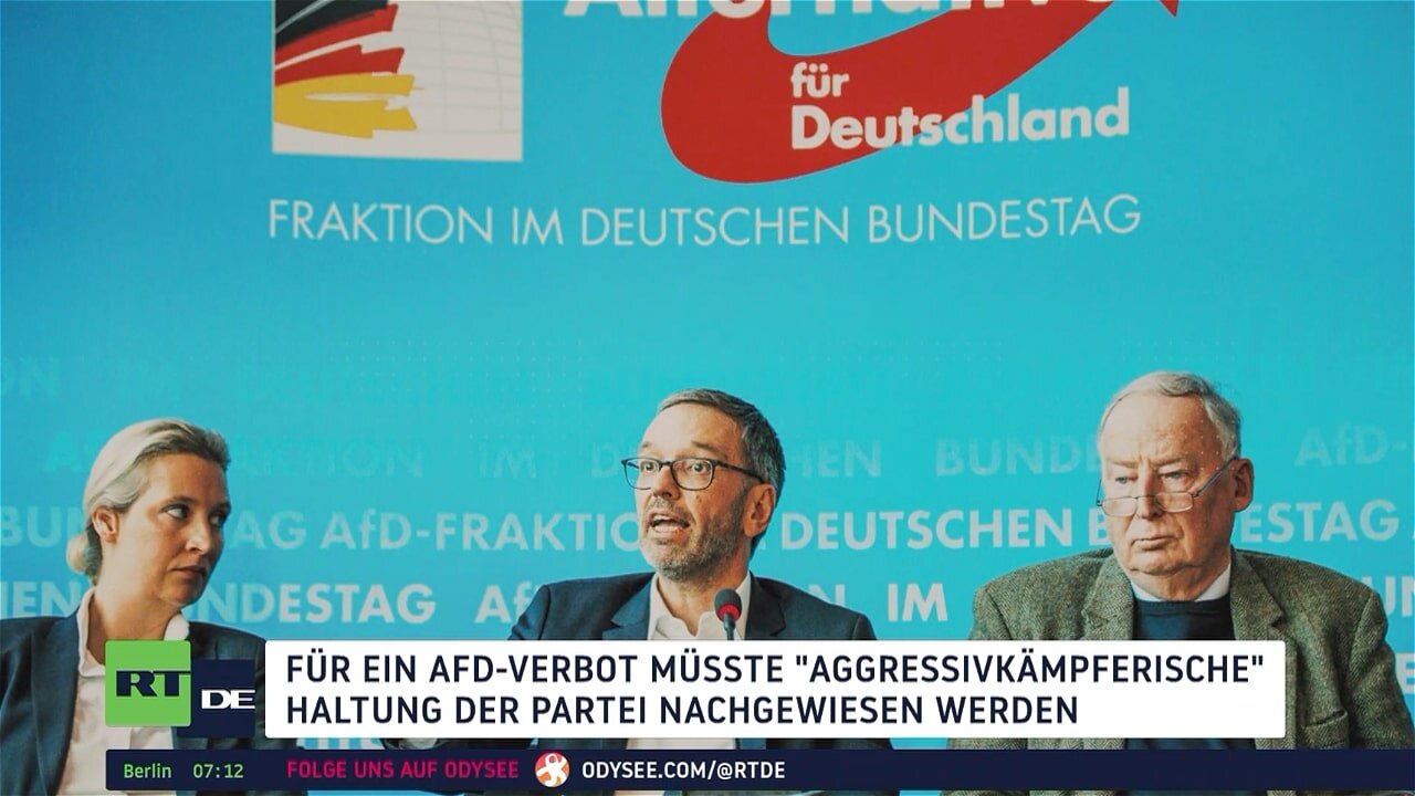 Debatte um AfD-Verbot