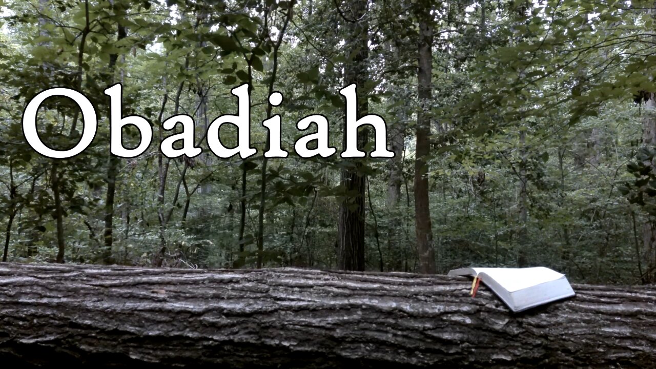 Obadiah | The Holy Bible | Old Testament 31/39