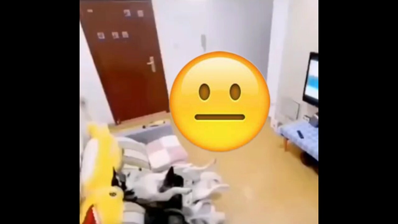 😶