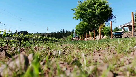 ARCHER VINEYARD NEWBERG OREGON. GATEWAY TO WINE COUNTRY