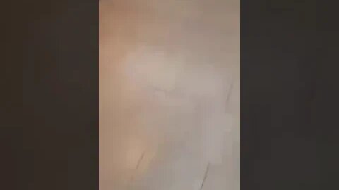 Manelizarea/cocalarizarea Romaniei