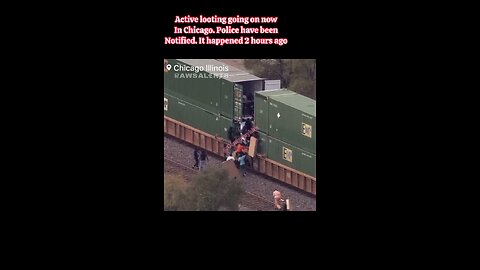 People looting Chicago IL cargo train