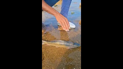 wait.... he is going to hold the 🐠🐟 Fish