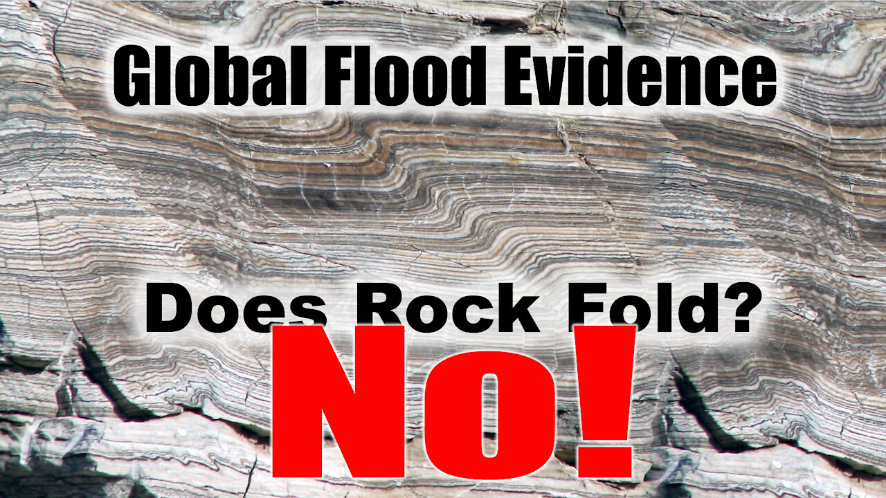 Geologic Folds: Evidence Supporting Noah's Flood