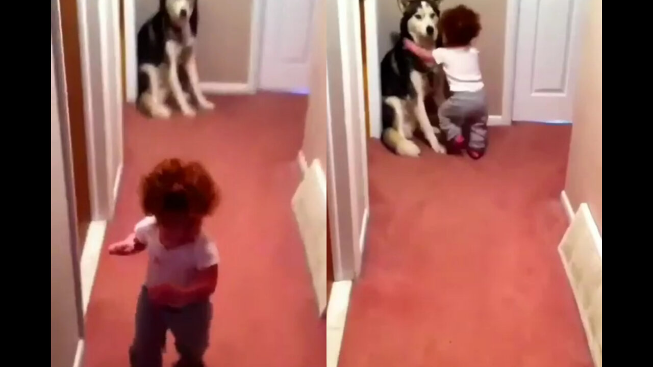 Cute Baby runs to dog in fear of vaccum cleaner voice