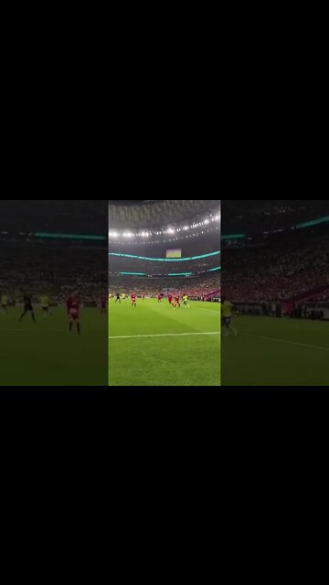 Golaço do Richarlison visto de dentro do campo