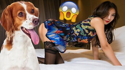 Funny Dogs And Cats #33 🤣 Funniest Animals Videos 2023🐶😺