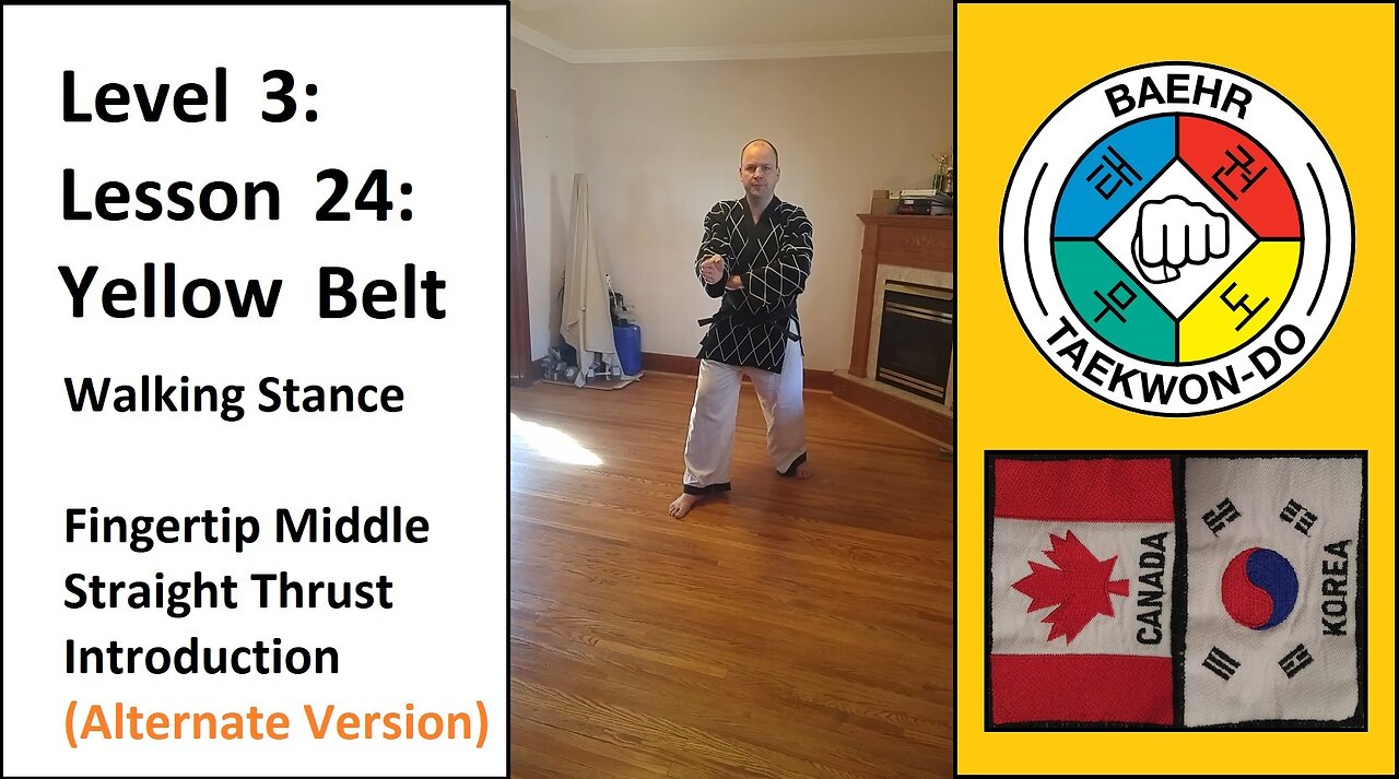 Baehr Taekwondo: 03-24: Yellow Belt: Walking Stance - Fingertip Middle Straight Thrust (Alt) - Intro