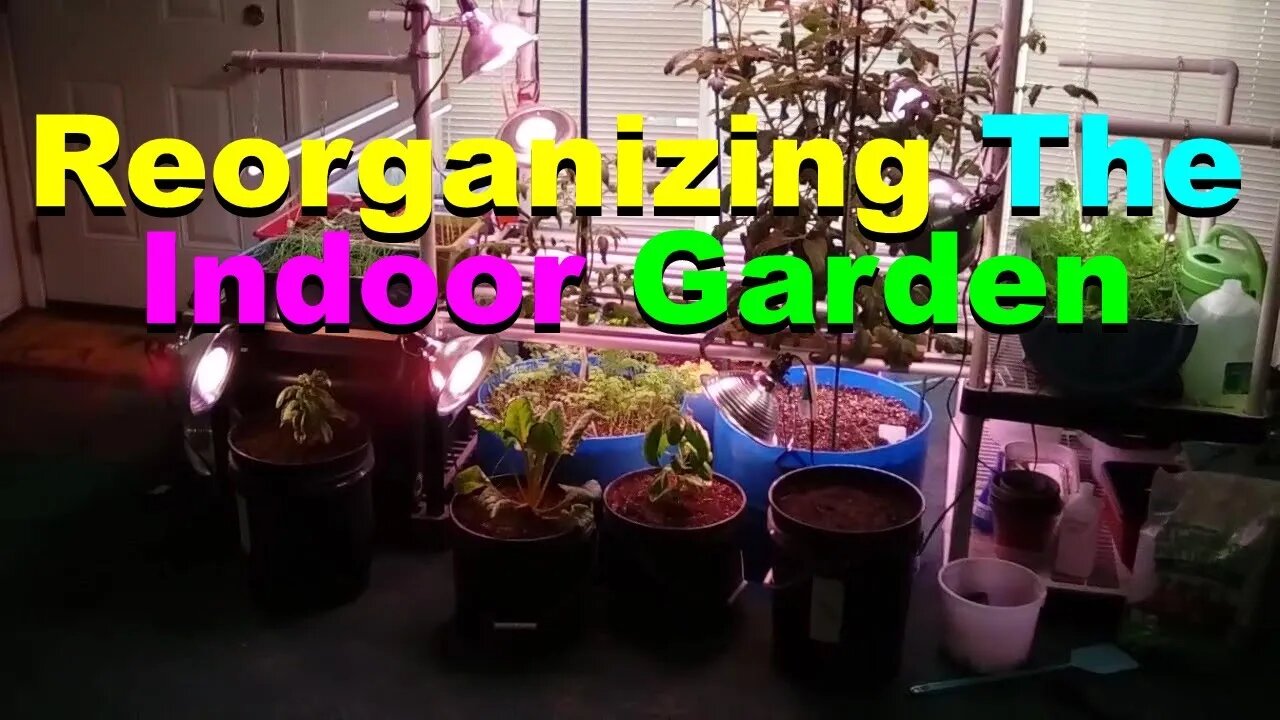 No. 771 – Reorganizing The Indoor Garden