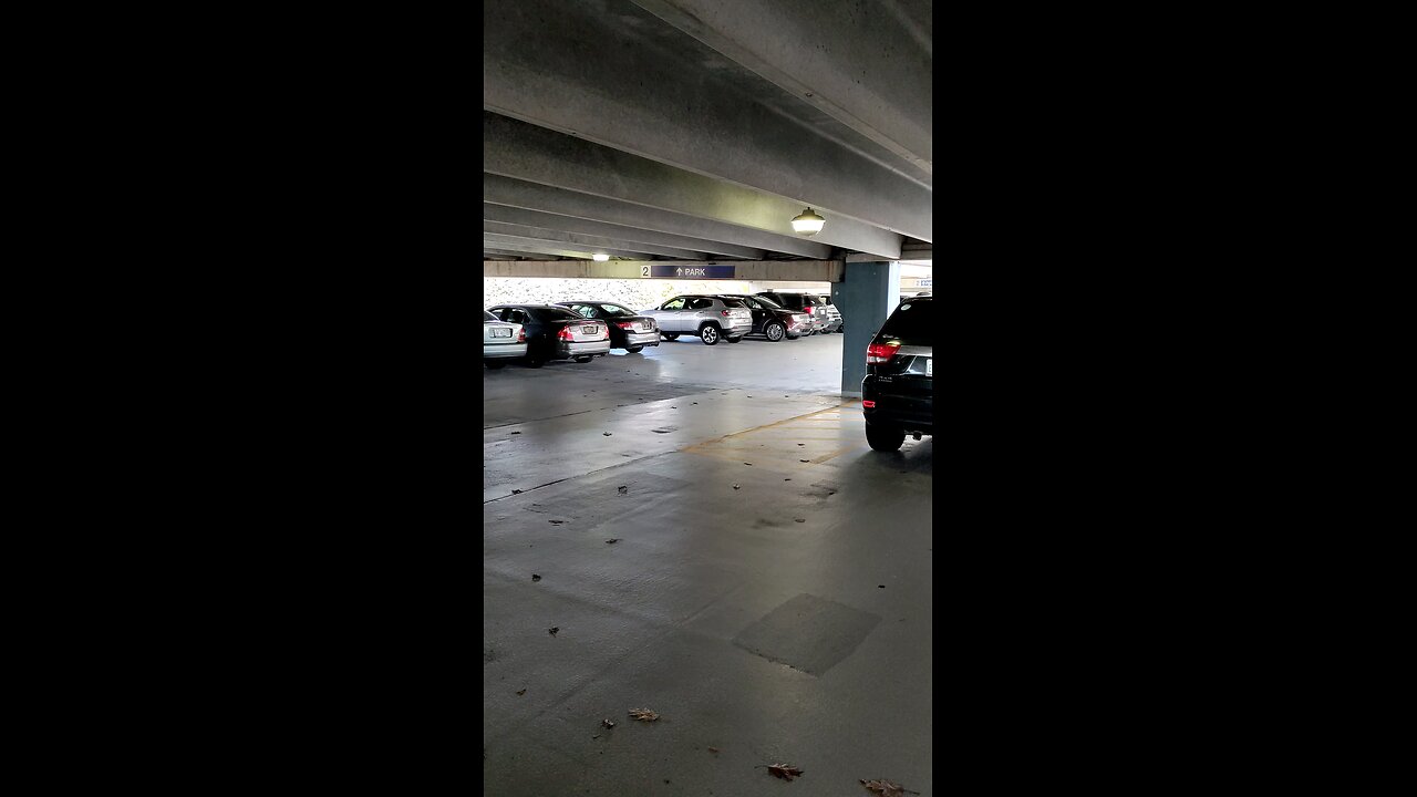 Where I Parked My Car, Corewell Hospital, Dbn, MI, 11/12/24