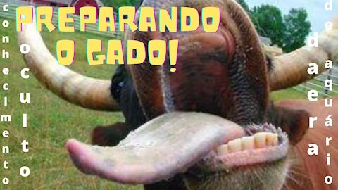 Preparando "O GADO" 666?! COMPARTILHE (LUIZ & CAMILA)