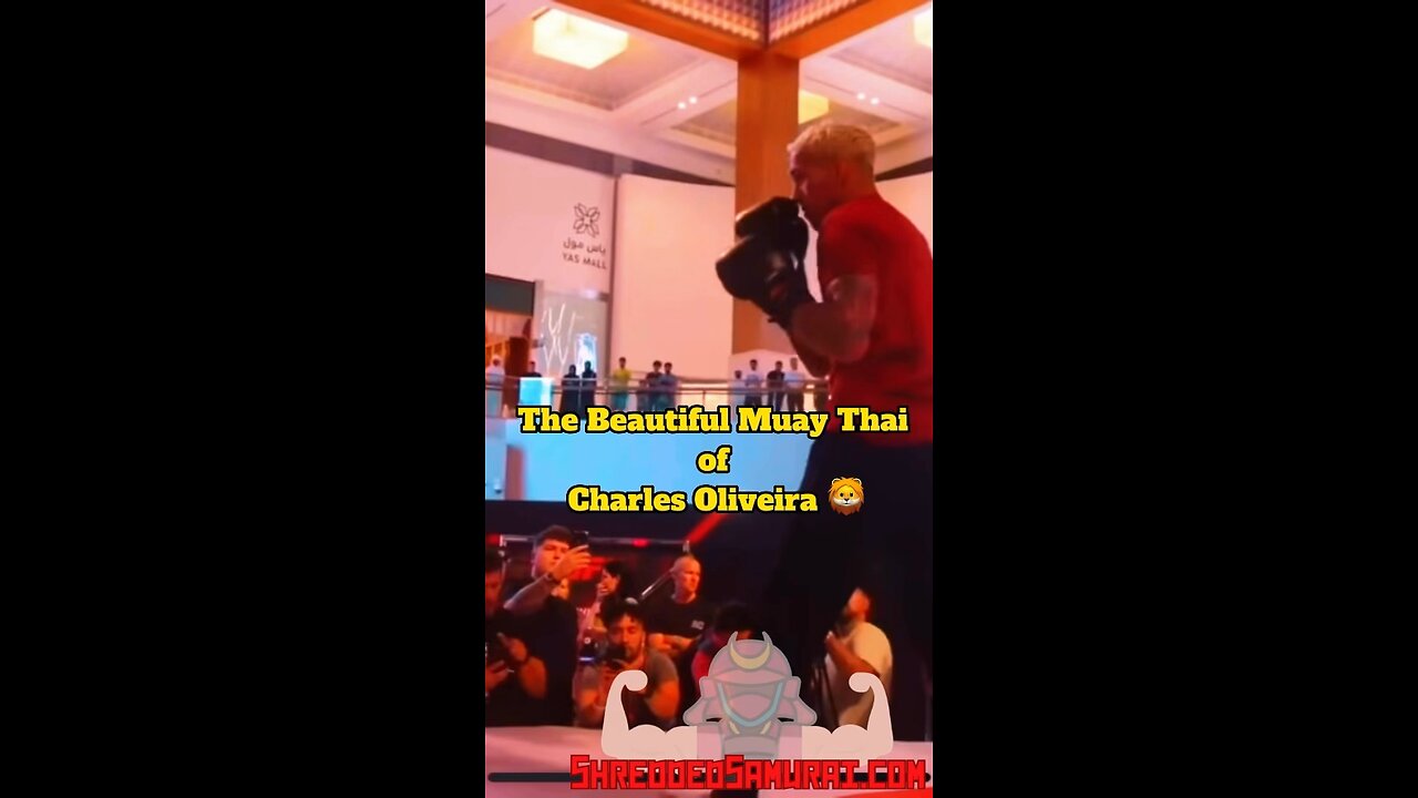 The Aggressive Muay Thai of Charles Oliveira