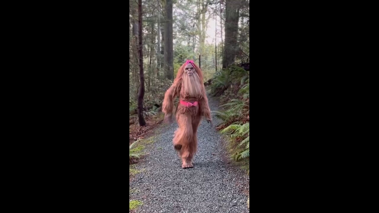 lady gorilla cat walk watch till end 🤣🤣🤣