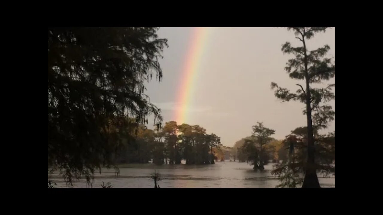 Three Catfish and a Rainbow