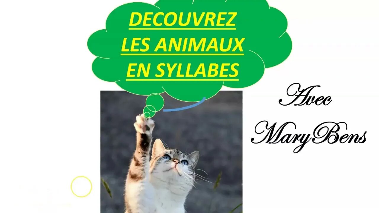 Ma méthode pour apprendre les #syllabes# en français #avec #les animaux#.