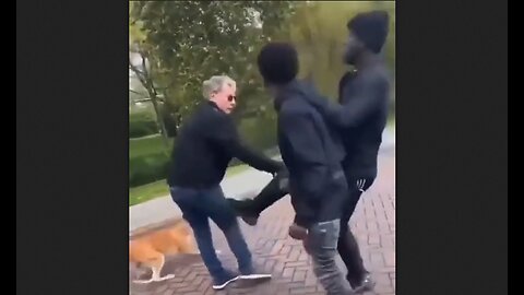 Invaders Harass & Assault A Man & His Dog - HaloRock