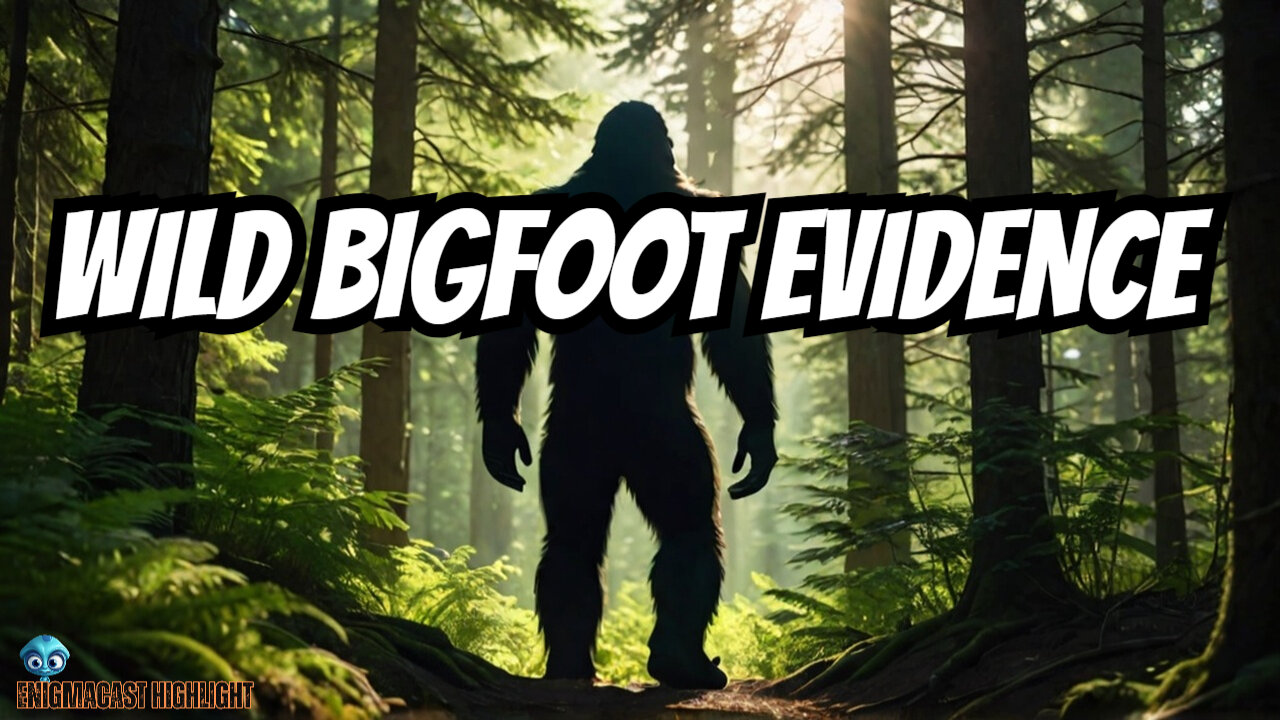 Bigfoot Adventure: Signs in the Wild | #EnigmaCast Highlights