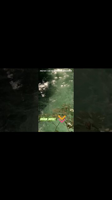 Relax with the most tranquil silence #flowingwatersound #Relaxation #short #shorts