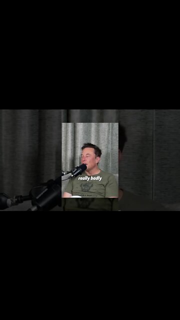 Any Street FIghts? ⚔️ Elon Musk