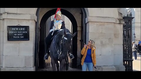 Don't touch his foot #horseguardsparade