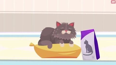 21 Ways You Are Hurting Your Cat Without Realizing
