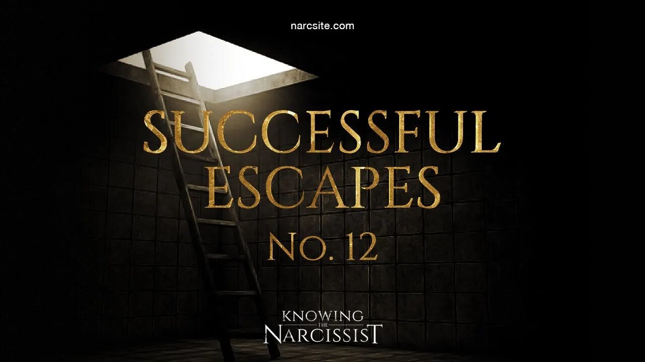 Successful Escapes : 12