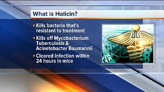 Ask Dr. Nandi: Artificial intelligence yields new antibiotic