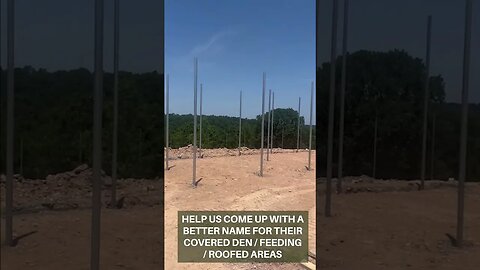 Freedom Field Update at Turpentine Creek Wildlife Refuge 06 29 2023 part 1