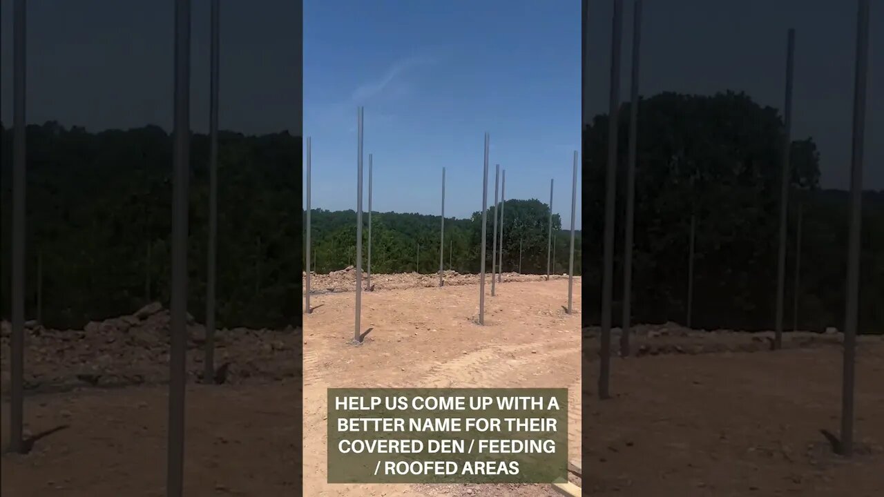 Freedom Field Update at Turpentine Creek Wildlife Refuge 06 29 2023 part 1