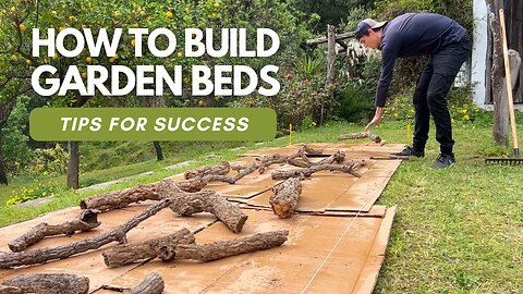 How I'm Setting Up My Annual Beds For The Hot Spanish Summers