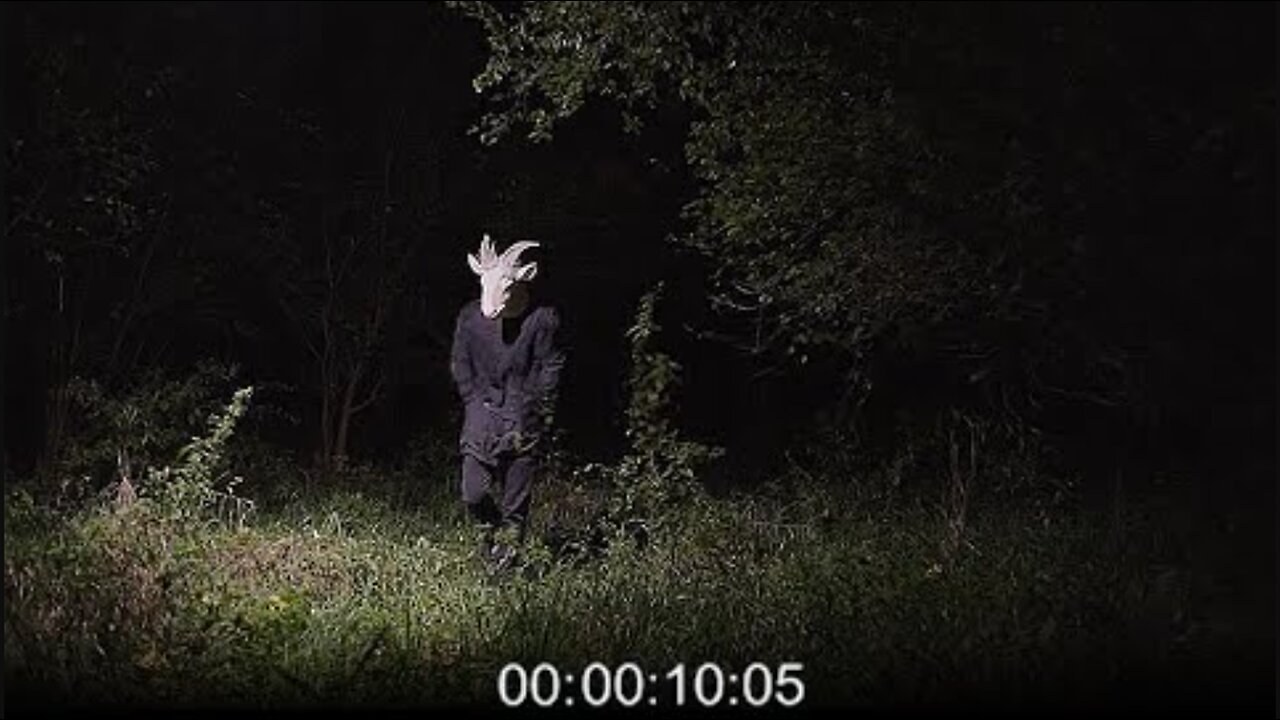 Most Disturbing Encounters in the Woods