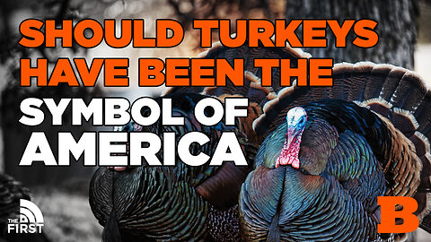 Should Turkeys Have Been The Symbol of America