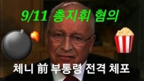 체니 전 부통령 전격 체포!