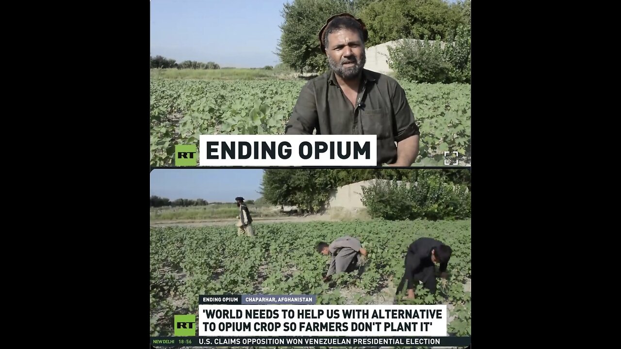 Indonesia helps Afghan farmers find alternatives to opium production