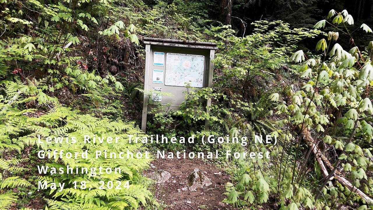 Getting Started @ Lewis River Trailhead (Going NE) | Gifford Pinchot National Forest Washington | 4K