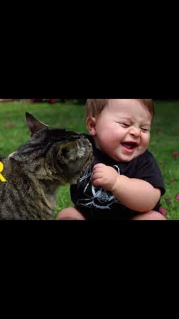 A cat accepts a child with a lot of love