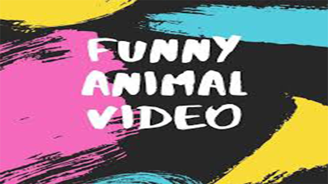 Funny Animals And Cats Videos 😂