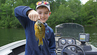 Big Bluegill PEES in our Boat!