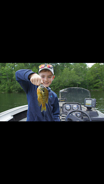 Big Bluegill PEES in our Boat!
