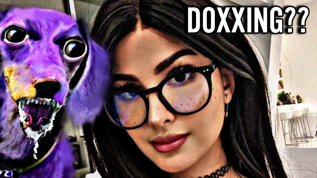 SSSNIPERWOLF COMMITTED DOXXING